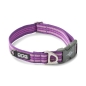 Preview: Dog Copenhagen V3 Urban Style Halsband Purple Passion